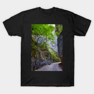 Beautiful gorge in Carpathian mountains T-Shirt